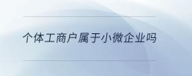 個體工商戶屬于小微企業(yè)嗎