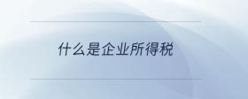 什么是企業(yè)所得稅