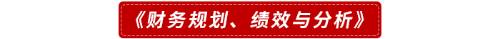 《財(cái)務(wù)規(guī)劃、績(jī)效與分析》
