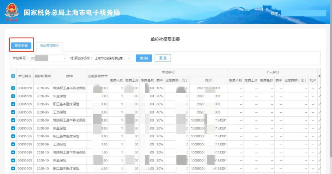 提交申報(bào)