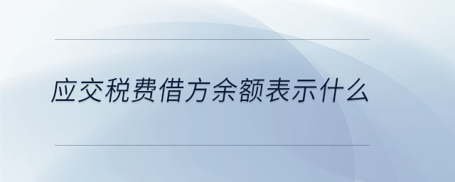 應(yīng)交稅費(fèi)借方余額表示什么