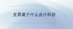 支票屬于什么會計(jì)科目