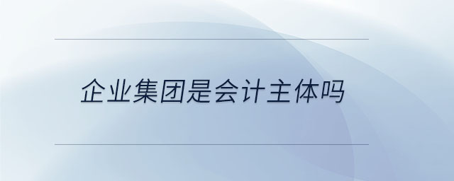 企業(yè)集團(tuán)是會計主體嗎