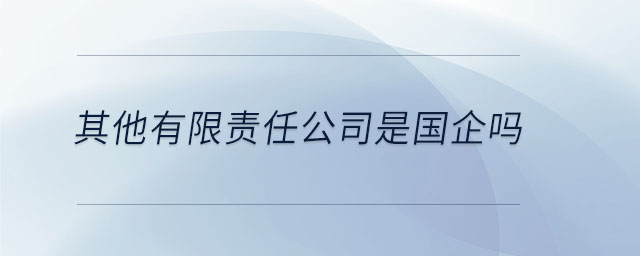 其他有限責任公司是國企嗎