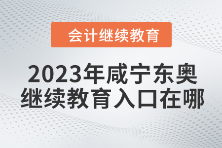 2023年咸寧東奧會(huì)計(jì)繼續(xù)教育入口在哪？