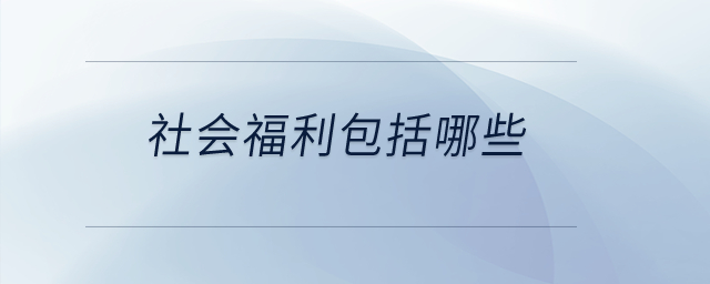 社會福利包括哪些？