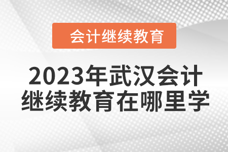 2023年武漢會計繼續(xù)教育在哪里學？