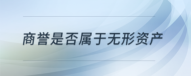 商譽(yù)是否屬于無形資產(chǎn)？