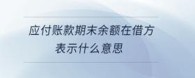 應(yīng)付賬款期末余額在借方表示什么意思