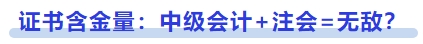 證書含金量：中級(jí)會(huì)計(jì)+注會(huì)=無敵？