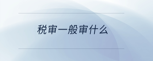 稅審一般審什么？
