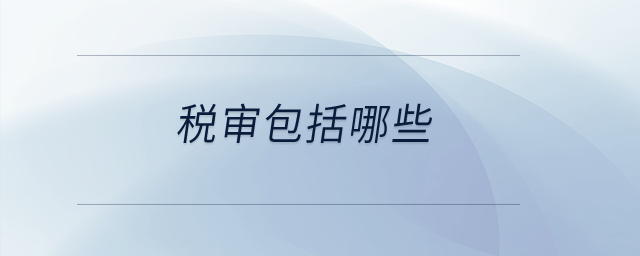 稅審包括哪些？