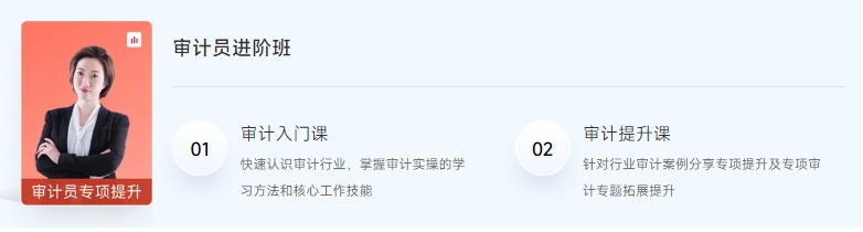 審計體系