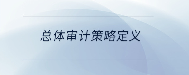 總體審計(jì)策略定義？