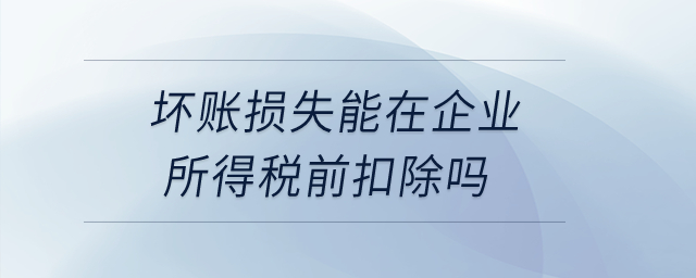 壞賬損失能在企業(yè)所得稅前扣除嗎？