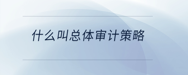 什么叫總體審計策略？