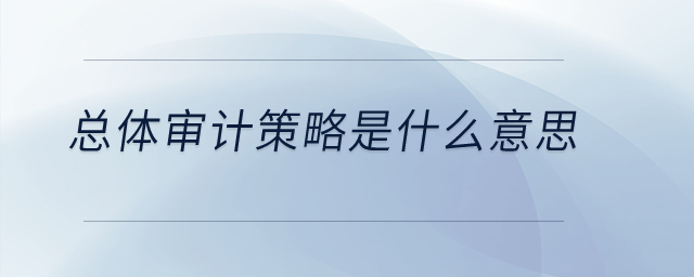 總體審計策略是什么意思？