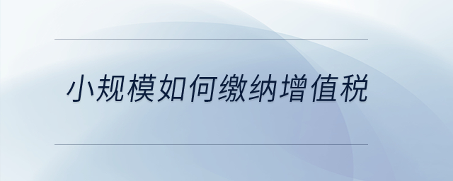 小規(guī)模如何繳納增值稅？