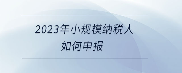 2023年小規(guī)模納稅人如何申報(bào)