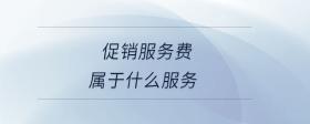 促銷服務(wù)費(fèi)屬于什么服務(wù)