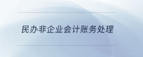 民辦非企業(yè)會計賬務(wù)處理