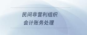 民非企業(yè)會(huì)計(jì)科目及賬務(wù)處理