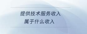 提供技術(shù)服務(wù)收入屬于什么收入