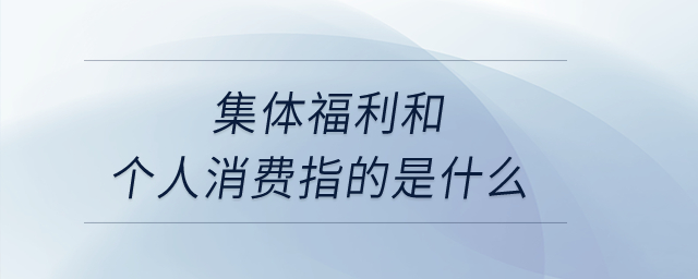 集體福利和個(gè)人消費(fèi)指的是什么？