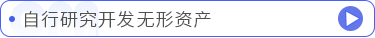 自行研究開(kāi)發(fā)無(wú)形資產(chǎn)