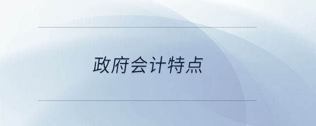 政府會計(jì)特點(diǎn)