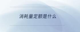 消耗量定額是什么