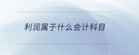 利潤屬于什么會計科目