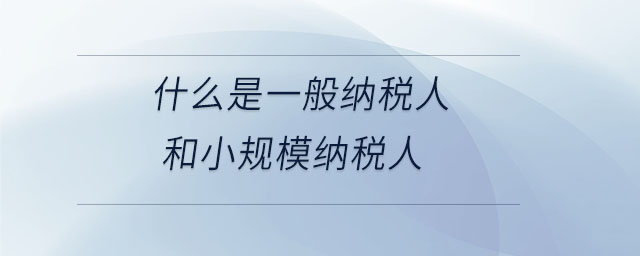 什么是一般納稅人和小規(guī)模納稅人