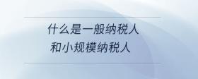 什么是一般納稅人和小規(guī)模納稅人