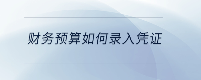 財務預算如何錄入憑證？