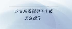 企業(yè)所得稅更正申報怎么操作