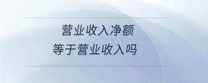 營(yíng)業(yè)收入凈額等于營(yíng)業(yè)收入嗎
