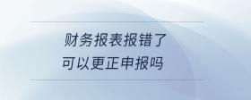 財(cái)務(wù)報(bào)表報(bào)錯(cuò)了可以更正申報(bào)嗎