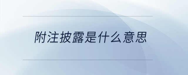 附注披露是什么意思？