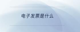 電子發(fā)票是什么