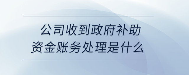 公司收到政府補(bǔ)助資金賬務(wù)處理是什么？