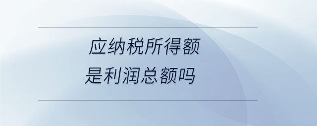 應(yīng)納稅所得額是利潤(rùn)總額嗎