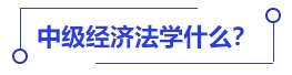 中級會計經(jīng)濟法學什么？