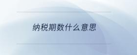 納稅期數(shù)什么意思