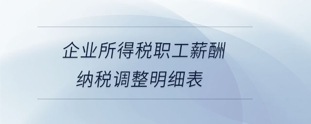 企業(yè)所得稅職工薪酬納稅調(diào)整明細(xì)表