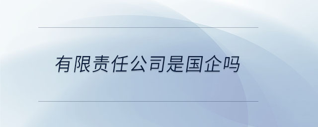 有限責任公司是國企嗎