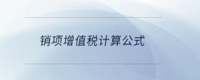 銷項(xiàng)增值稅計(jì)算公式