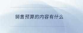 銷售預算的內容有什么
