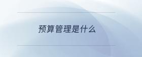 預(yù)算管理是什么