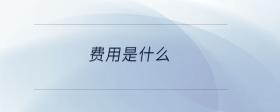 費(fèi)用是什么